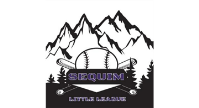 Sequim Little League Swag